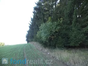 Prodej pole, Kolinec, 2385 m2