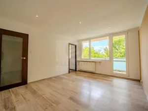 Prodej bytu 1+kk, Praha - Michle, Podle Kačerova, 29 m2