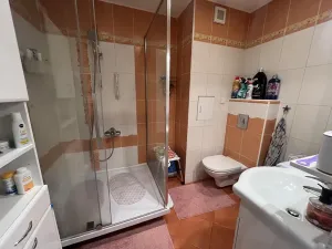 Prodej bytu 2+kk, Frýdek-Místek, 50 m2