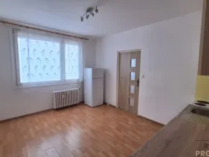 Pronájem bytu 1+1, Ústí nad Labem, Šípková, 32 m2