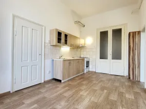 Pronájem bytu 1+1, České Budějovice - České Budějovice 3, 53 m2