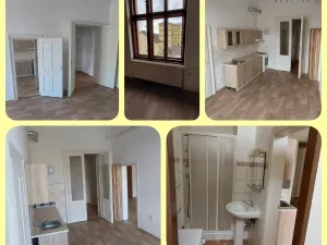 Pronájem bytu 1+1, České Budějovice - České Budějovice 3, 53 m2