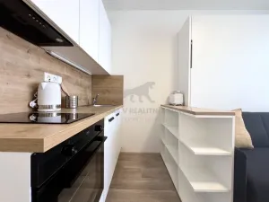 Pronájem bytu 1+kk, Praha - Smíchov, Plzeňská, 20 m2