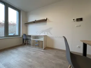 Pronájem bytu 1+kk, Praha - Smíchov, Plzeňská, 22 m2