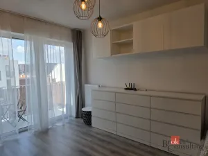 Pronájem bytu 1+kk, Brno - Trnitá, Křenová, 28 m2