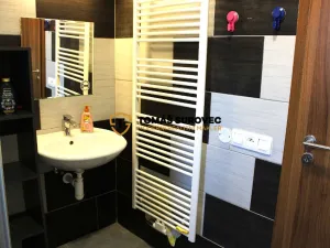 Pronájem pokoje, Hvozdná, Sokolská, 28 m2