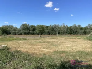 Prodej komerčního pozemku, Břeclav - Poštorná, 4463 m2