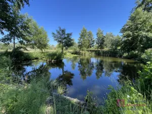 Prodej pozemku pro bydlení, Břeclav - Poštorná, 4463 m2