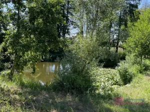 Prodej pozemku pro bydlení, Břeclav - Poštorná, 4463 m2