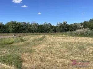 Prodej pozemku pro bydlení, Břeclav - Poštorná, 4463 m2