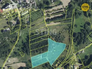 Prodej louky, Horní Město, 12302 m2
