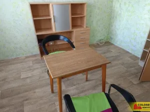 Pronájem bytu 1+kk, Letovice, 25 m2