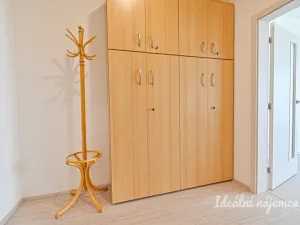 Pronájem bytu 1+kk, Brno, Sportovní, 39 m2