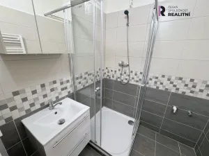 Pronájem bytu 2+1, Ostrov, S. K. Neumanna, 56 m2