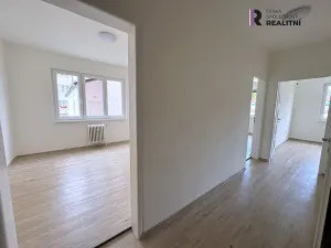 Pronájem bytu 2+1, Ostrov, S. K. Neumanna, 56 m2