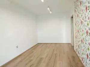 Pronájem bytu 2+kk, Plzeň, K Lutové, 51 m2
