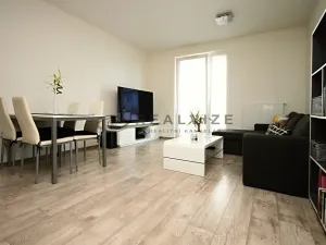 Pronájem bytu 2+kk, České Budějovice, Jírovcova, 57 m2