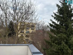 Pronájem bytu 1+kk, Havlíčkův Brod, Tolmanova, 42 m2