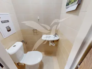 Pronájem bytu 4+1, Cheb, Americká, 86 m2