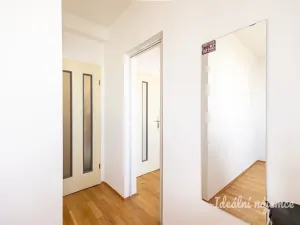 Pronájem bytu 3+kk, Praha - Krč, Olbrachtova, 56 m2