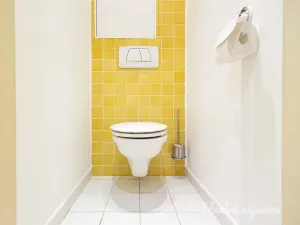 Pronájem bytu 3+kk, Praha - Krč, Olbrachtova, 56 m2