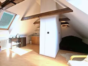Pronájem bytu 1+kk, Benešov - Bedrč, 48 m2