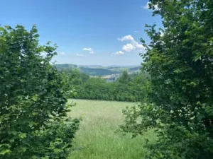 Prodej pozemku pro bydlení, Sázava, 4256 m2