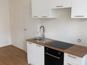 Pronájem bytu 1+kk, Brno, Křenová, 28 m2