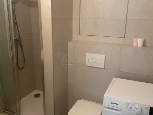 Pronájem bytu 1+kk, Brno, Křenová, 28 m2