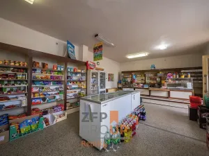 Prodej obchodního prostoru, Šatov, 470 m2