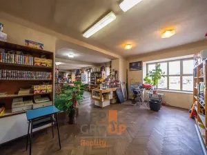 Prodej obchodního prostoru, Šatov, 470 m2