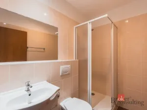 Prodej rodinného domu, Karlovy Vary - Drahovice, Stará Kysibelská, 400 m2