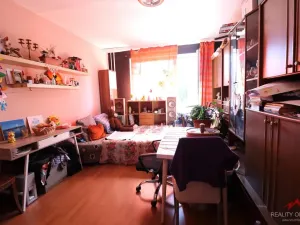 Prodej bytu 2+1, Děčín - Děčín VI-Letná, Slovanská, 60 m2