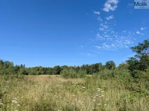 Prodej pozemku pro bydlení, Mariánské Radčice, Československé armády, 998 m2