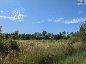 Prodej pozemku pro bydlení, Mariánské Radčice, Československé armády, 998 m2