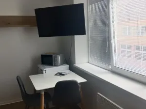 Pronájem bytu 1+kk, Přerov, 25 m2