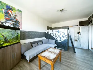 Prodej bytu 1+1, Příbram, náměstí 17. listopadu, 39 m2