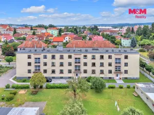 Prodej bytu 3+1, Vysoké Mýto - Pražské Předměstí, Rašínova, 62 m2
