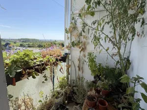 Prodej bytu 3+1, Chomutov, U Hačky, 85 m2