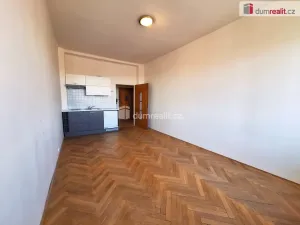 Pronájem bytu 1+kk, Praha - Vinohrady, Jana Masaryka, 26 m2