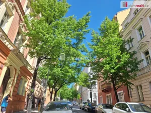 Pronájem bytu 1+kk, Praha - Vinohrady, Jana Masaryka, 26 m2