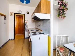 Prodej bytu 2+1, Praha - Záběhlice, U mlýna, 58 m2
