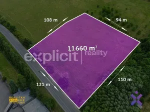 Prodej komerčního pozemku, Slušovice, 11660 m2