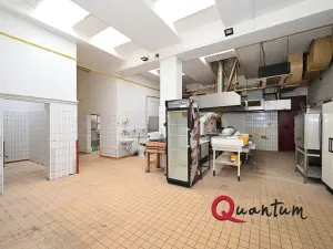 Pronájem komerční nemovitosti, Praha - Chodov, Vojtíškova, 374 m2