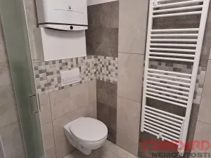 Pronájem bytu 2+kk, Přeštice, Revoluční, 45 m2
