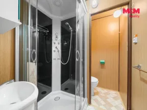 Prodej bytu 1+1, Ústí nad Labem, Peškova, 38 m2