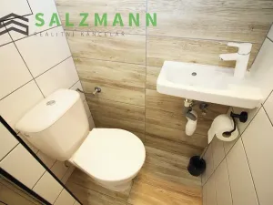 Pronájem bytu 1+kk, Dolní Bělá, 2 m2