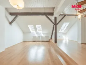 Pronájem bytu 2+kk, Praha - Vinohrady, Záhřebská, 88 m2