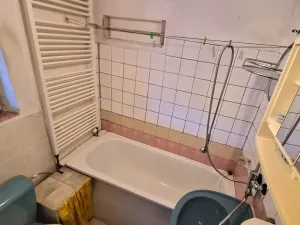 Prodej rodinného domu, Větrušice, Chaloupky, 50 m2