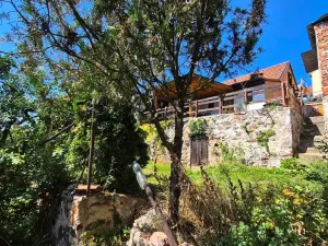 Prodej rodinného domu, Větrušice, Chaloupky, 50 m2